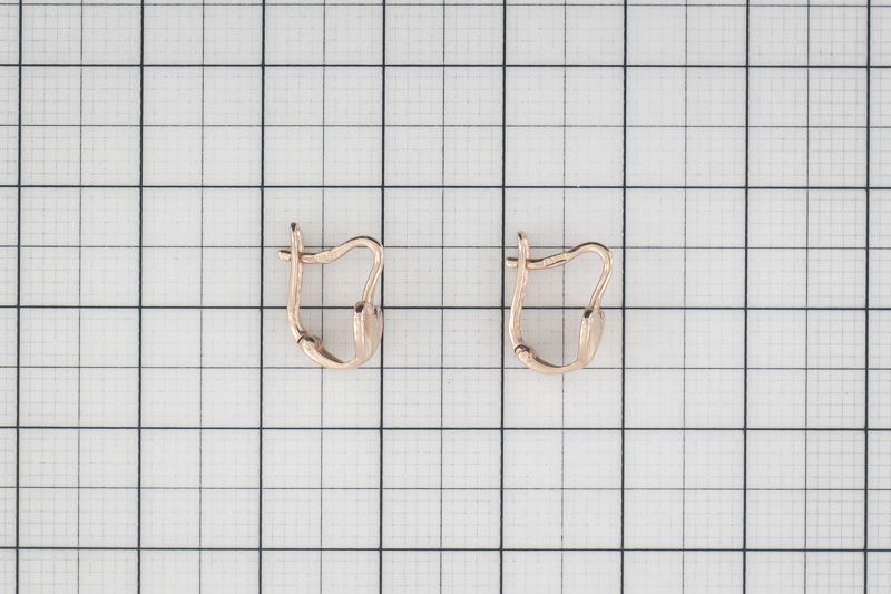 Paveikslėlis Auksiniai auskarai