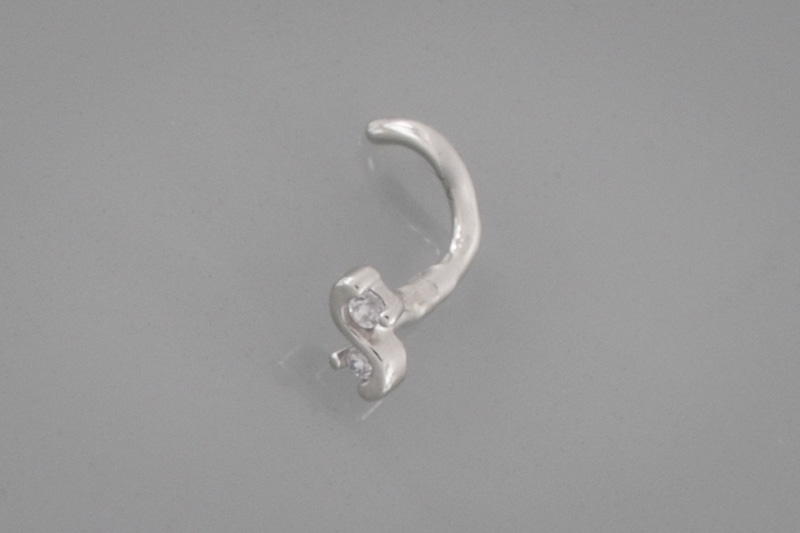 Изображение Серебряный пирсинг в нос