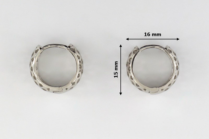 Paveikslėlis Sidabriniai auskarai