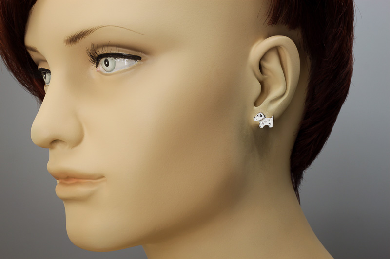 Paveikslėlis Sidabriniai auskarai su emaliu