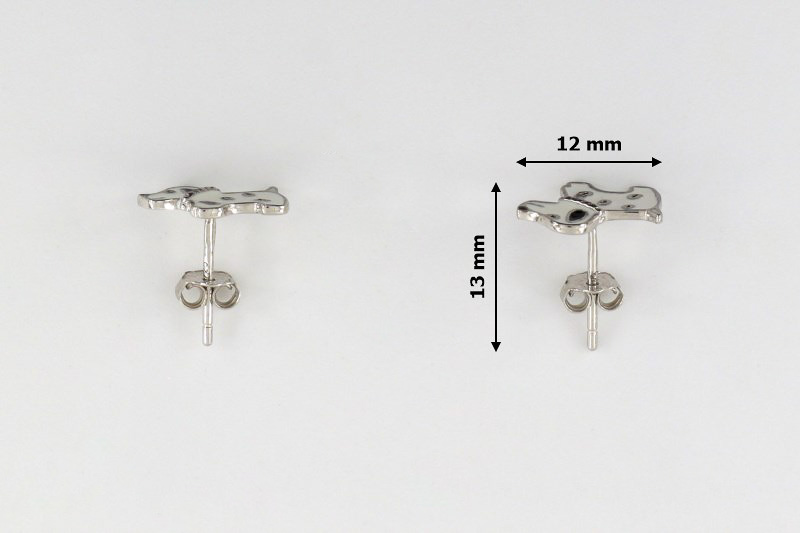 Paveikslėlis Sidabriniai auskarai su emaliu