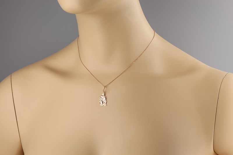 Paveikslėlis Auksinis pakabukas "Vandenis"