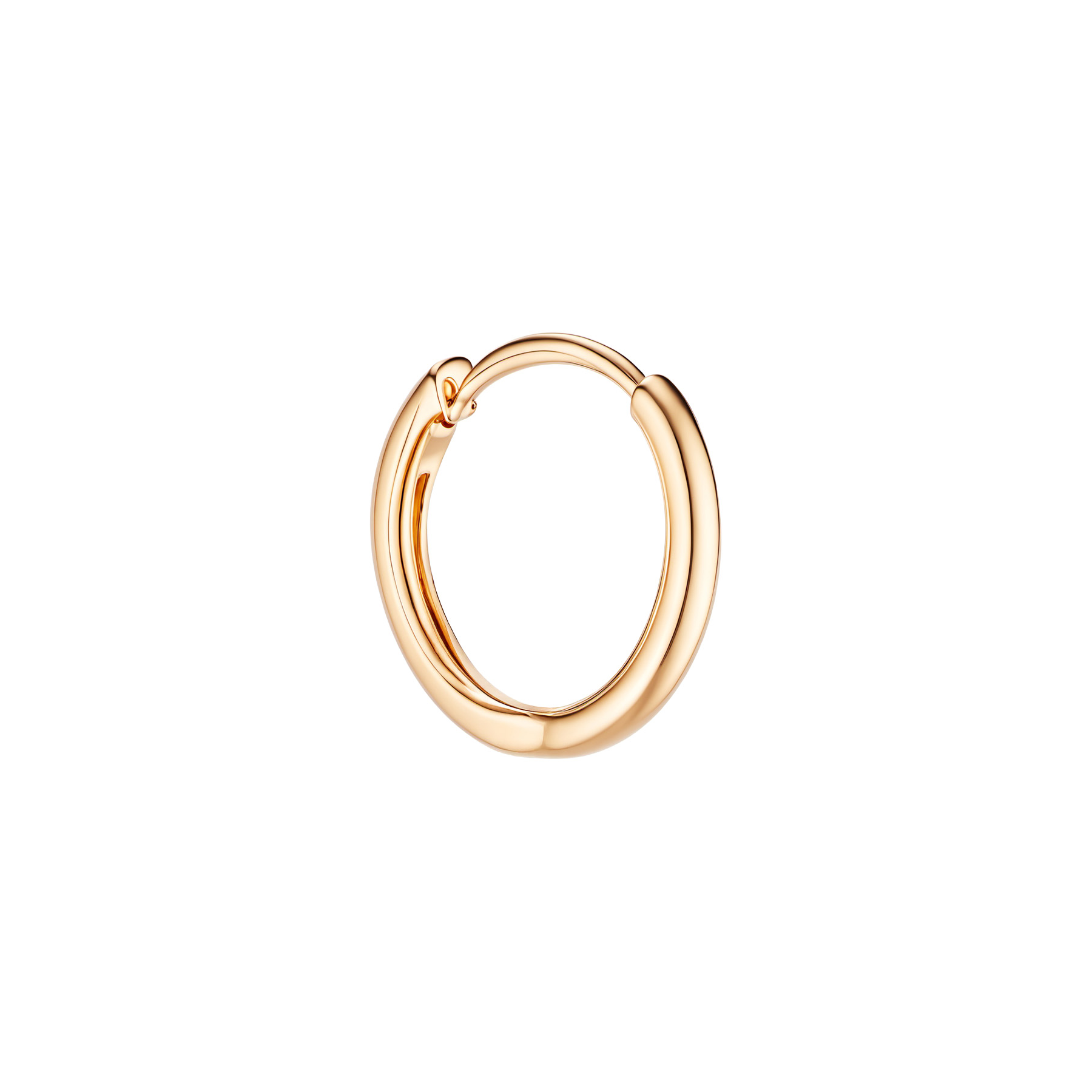 Paveikslėlis Auksinis auskaras