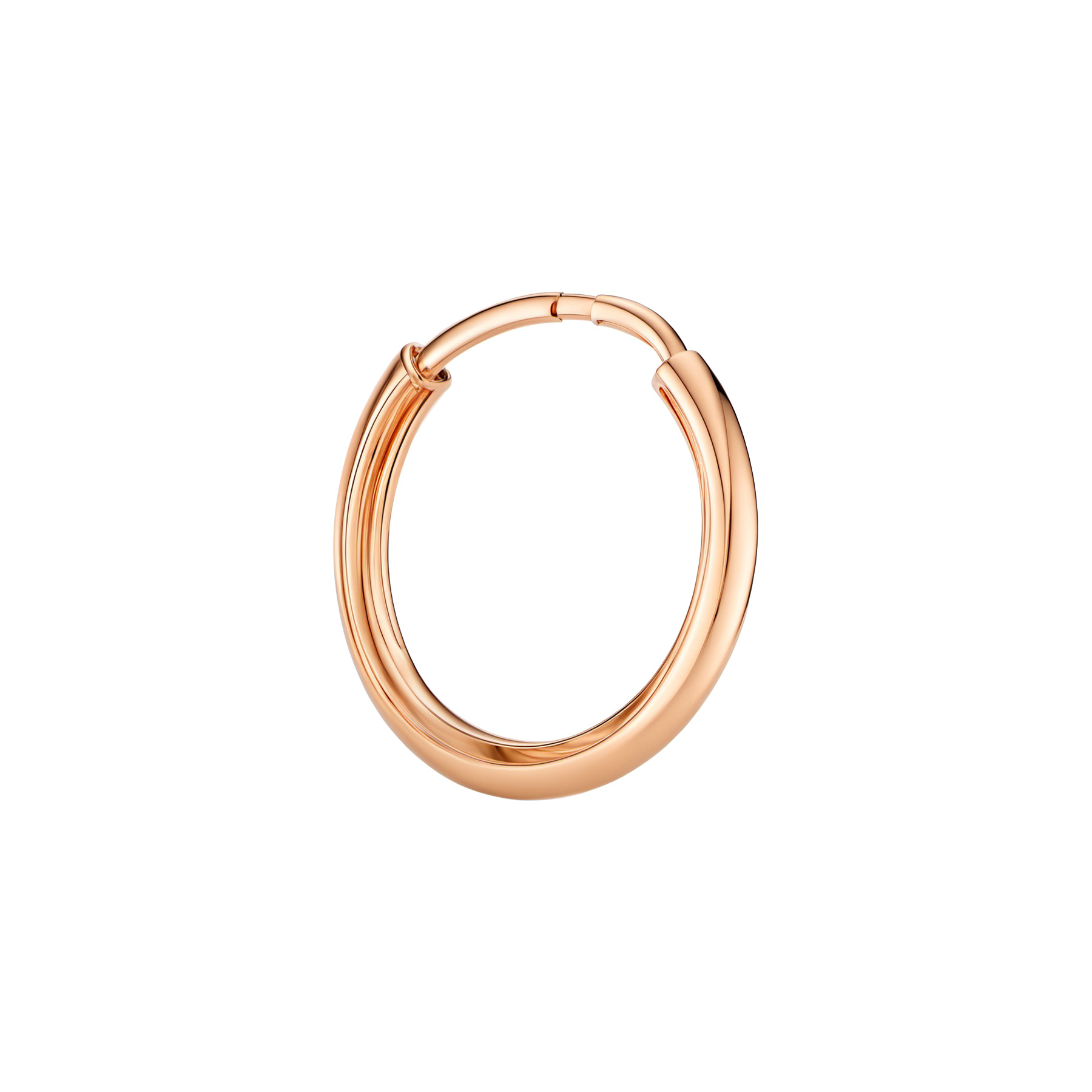 Paveikslėlis Auksinis auskaras