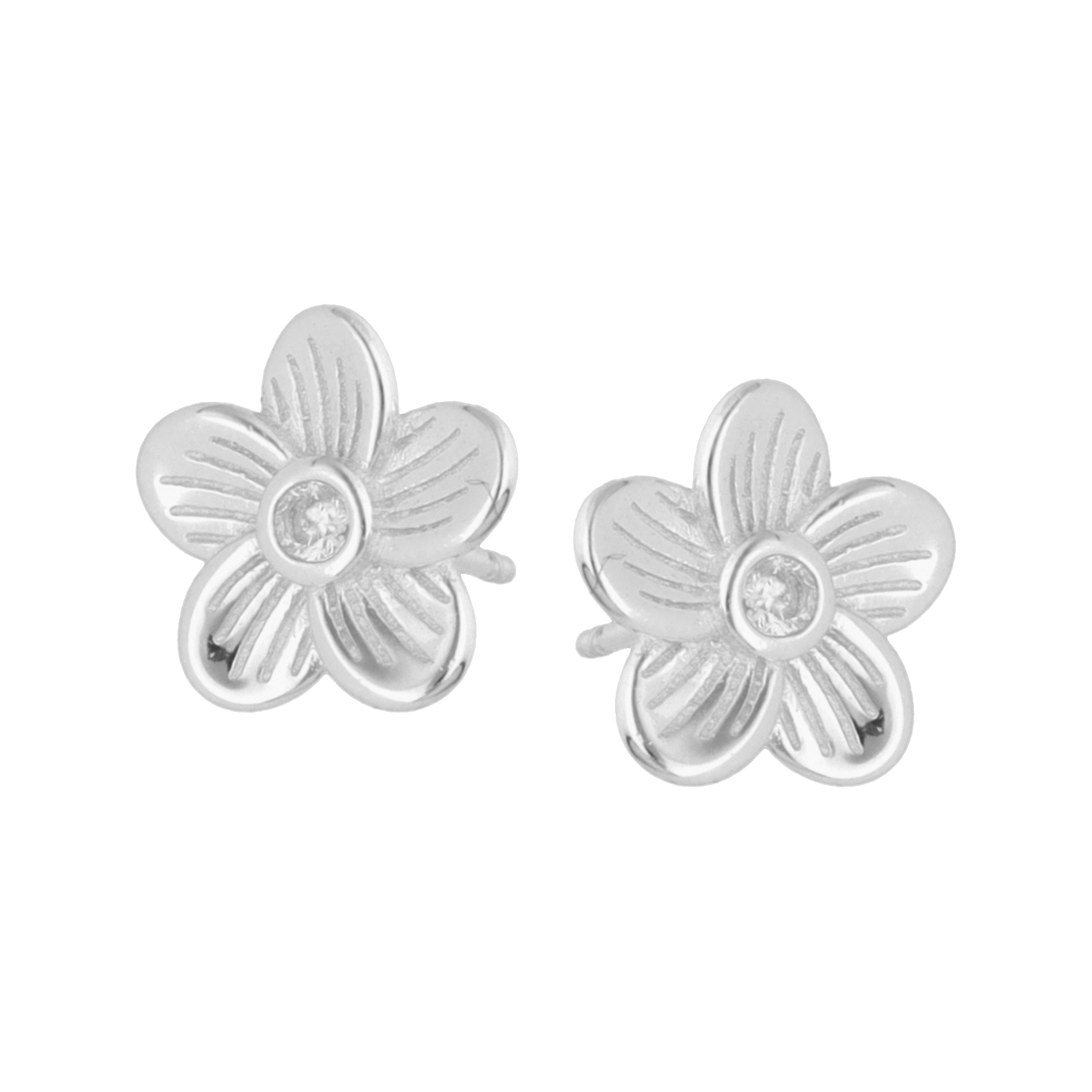 Paveikslėlis Sidabriniai auskarai su cirkoniais