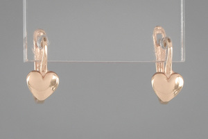 Paveikslėlis Auksiniai auskarai