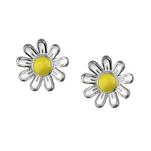 Paveikslėlis Sidabriniai auskarai su emaliu