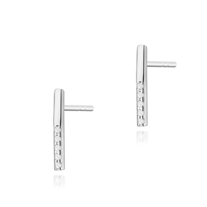 Paveikslėlis Balto aukso auskarai su briliantais