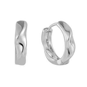 Paveikslėlis Sidabriniai auskarai