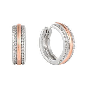 Paveikslėlis Sidabriniai auskarai su cirkoniais