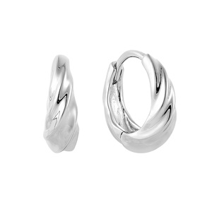 Paveikslėlis Sidabriniai auskarai