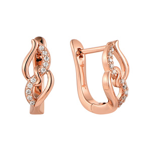 Paveikslėlis Paauksuoti sidabriniai auskarai su cirkoniais